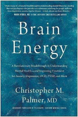 Brain Energy, Christopher M. Palmer,  Hardback