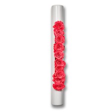 Infinity-Bloom bigTube - weiß/hellrot - 65x7...