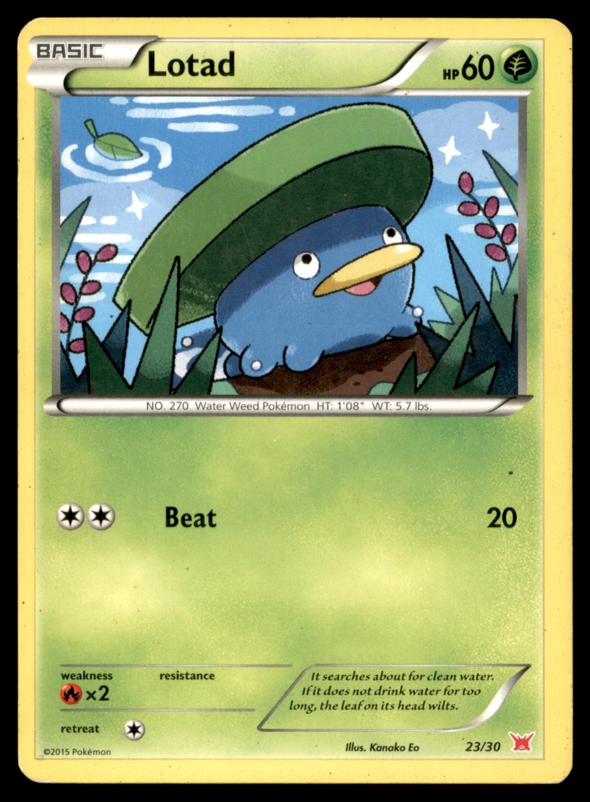 Lotad 23/30 XY Trainer Kit Latias Latios Pokemon Near Mint