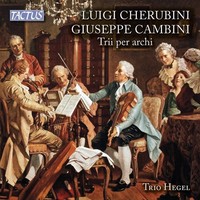 Audio Cd - Luigi Cherubini / Giuseppe Cambini - Trii Per Archi - Tactus -D- Neu