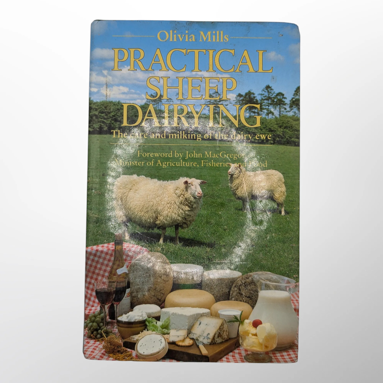 Practical Sheep Dairying: Care and Milking of the Dairy Ewe