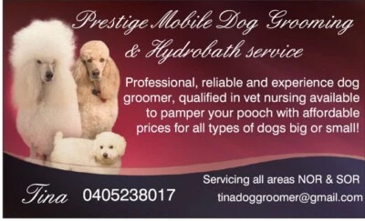 tina's dog grooming salon