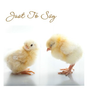 10 5"x5" Correspondence Cards, Notelets, Thank You Cards