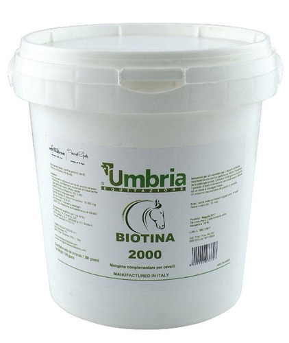 Vacche E Tori: Scopri I Migliori Mangimi Per Bovini | Giardini Mangimi - Foto 12