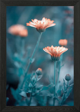 Couple, garden, macro Framed Wall Art Poster Canvas Print Picture