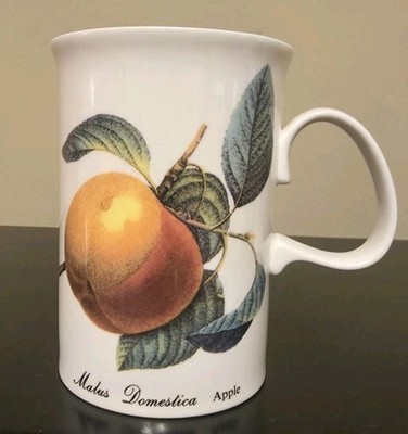 Vnt Dunoon 4''Malvern Adapted Redoutes Prints Fine Bone China Mug Made In England