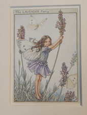 Lavender Fairy Vintage Flower Fairies Print & Mount Cicely Mary Barker c1930's