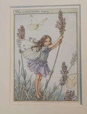 Lavender Fairy Vintage Flower Fairies Print & Mount Cicely Mary Barker c1930s