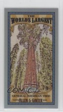 2021 Topps Allen & Ginter Chrome Mini World's Largest General Sherman Tree 09qu
