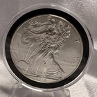 2013 1oz .999 fine silver American Silver Eagle ASE [C7]