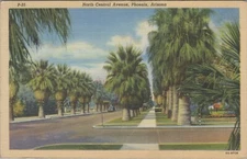 North Central Avenue Phoenix Arizona Palm Trees Linen Vintage Post Card