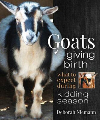 Goats Giving Birth: What to Expect During Kidding Season by Deborah Niemann: New