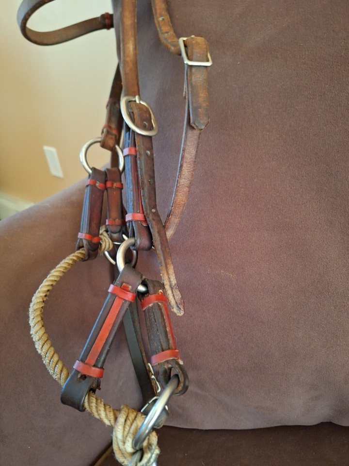 Professional's Choice Single Rope Nose Side Pull main image 1