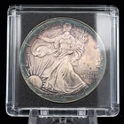 2001 $1 American Silver Eagle 1 oz Toned
