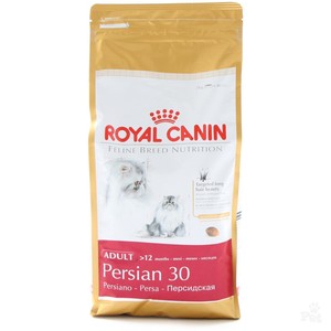 persian adult royal canin