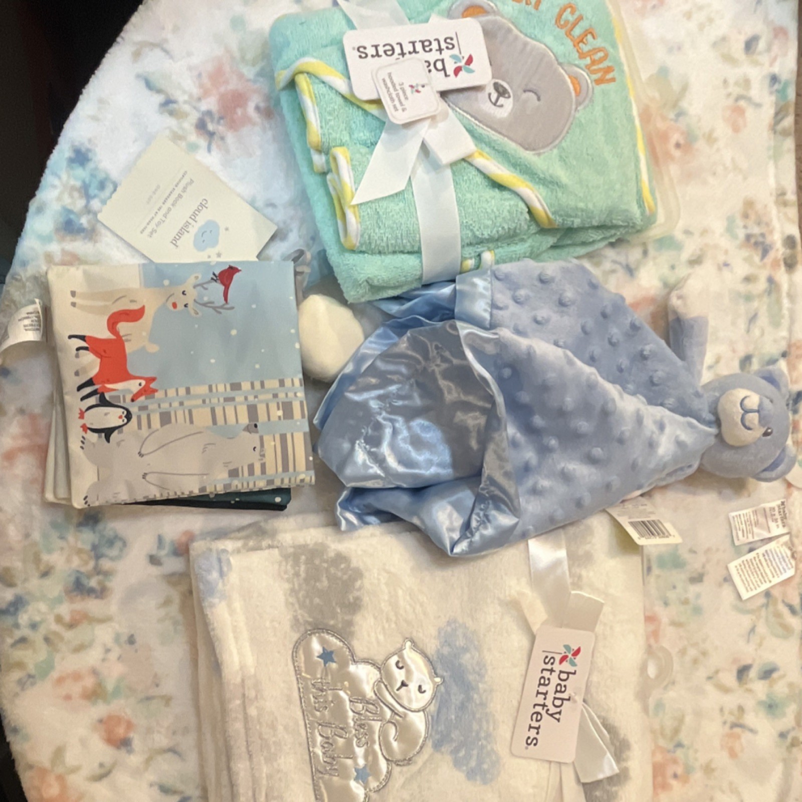 Baby Starters & Cloud Island Crib Blanket Plush Bear Book Set Blue Green Unisex