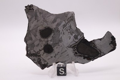 Odessa  iron meteorite  etched full slice Weight 76.2 grams 4 inches WOW!