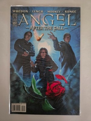 Angel After the Fall #12 VF-NM IDW Comic Book 2 TJ86