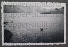 Norwegen Stavanger Randaberg Hund im Fjord A022-129