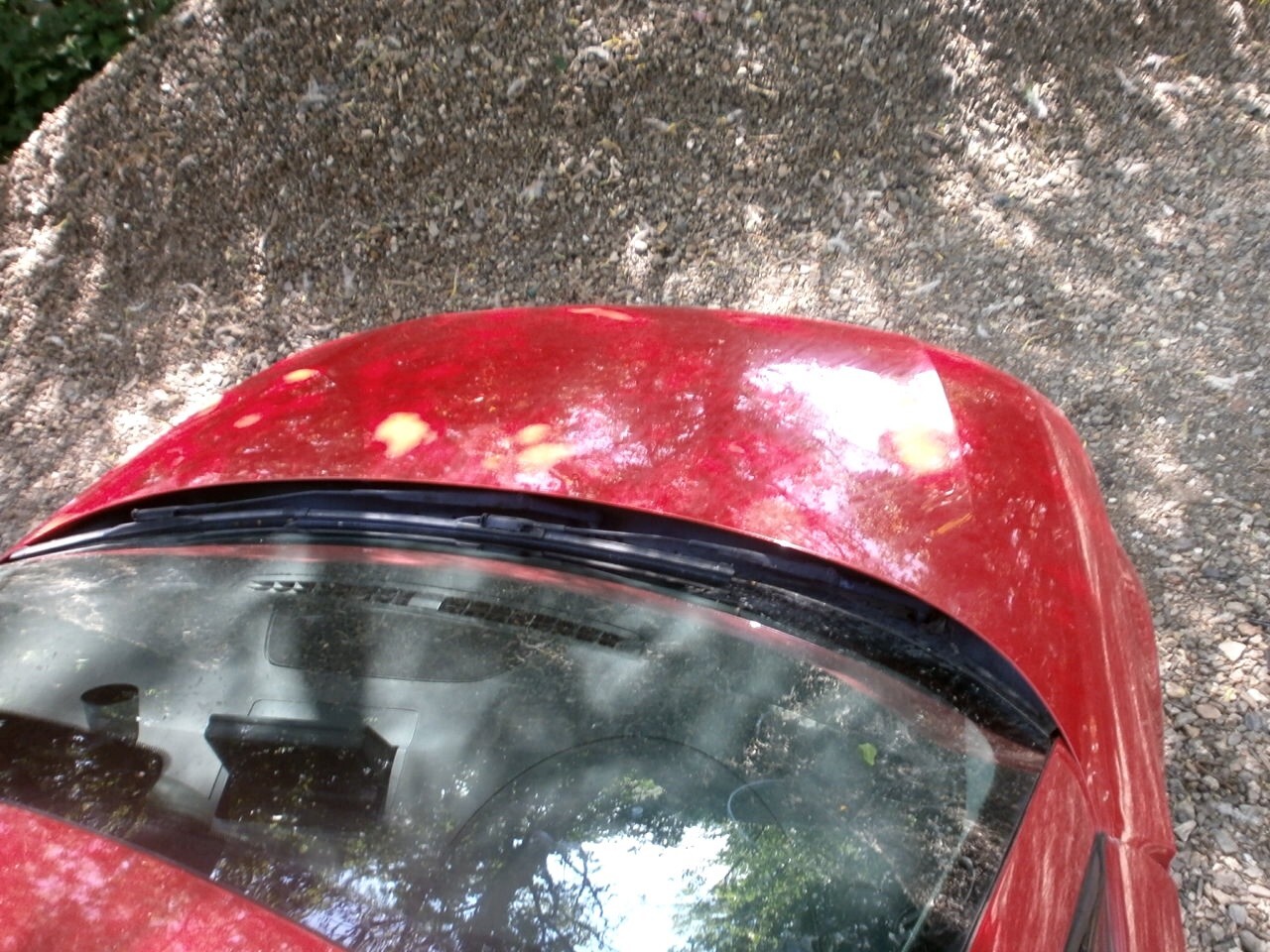 Picture 14 of 23