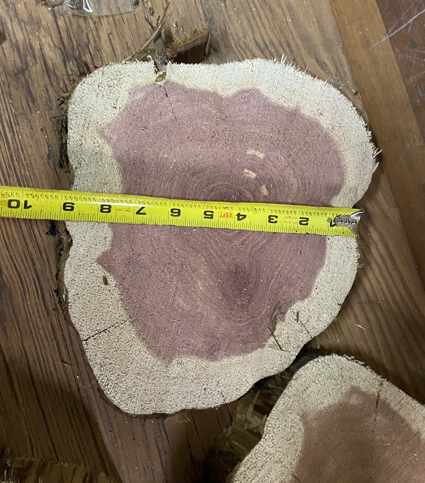 3 Rustic Live Edge Red Cedar Rounds, Cookies, Wood Working, Craft Wood, 8" - 12"