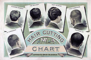 Haircut Chart For Barber Shops