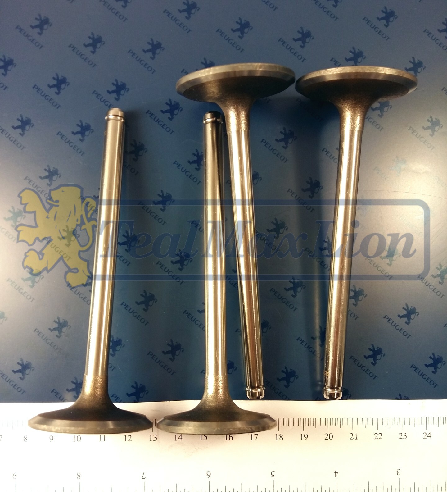 Soupapes d'admission pour Peugeot 504 en acier forgé haute résistance