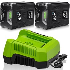 2Pack 5.0Ah Li-Ion Battery + 6A Rapid Charger Kit For Greenworks 60V Power Tools