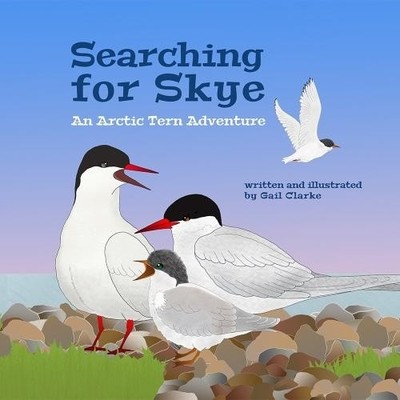 Gail Clarke Searching For Skye (Paperback) (UK IMPORT)