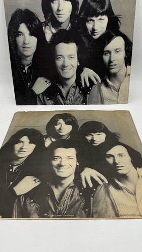 THE HOLLIES "Hollies" Self Titled 1974 Epic Records Vinyl LP - Foto 20 di 20
