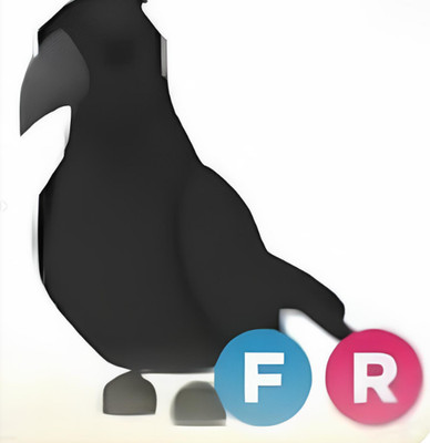 Crow FR adopt me
