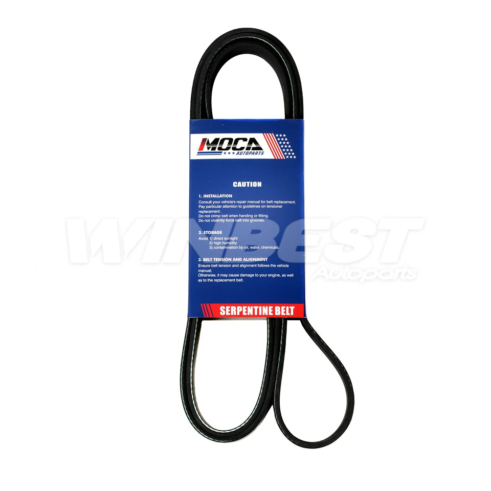 Kit de componentes de cinturón Serpentine para Jeep Wrangler 2000-2006 4,0 L L6 GAS OHV nuevo Foto 2 de 4