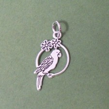 Silver charm of Charles P Parrot  first book