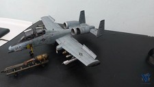 A-10A N/AW Warthog 1/32 Trumpeter Pro-Built – All-Weather Jet