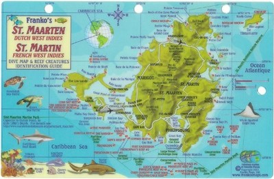 St. Maarten & St. Martin Dive Map & Reef Creatures Guide Franko Maps Laminated F