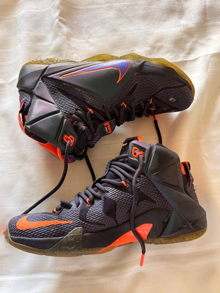 Nike LeBron 12 Instinct Cave Purple Hyper Grape Men's 7.5 Basketball 684593-583