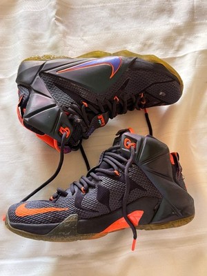 Nike LeBron 12 Instinct Cave Purple Hyper Grape Men's 7.5 Basketball 684593-583