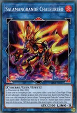 Yu-Gi-Oh: Salamangrande Chaleurléo | SDSB-FR041 | Commune | NM | FR