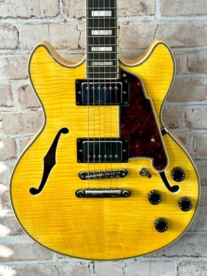 D'Angelico Premier Mini DC XT 2021 Sweetwater Exclusive with Seymour Duncans - B