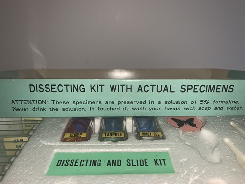 Children’s Dissecting Kit With Actual Specimens, Science, Vintage 1960’s Japan - Picture 4 of 10
