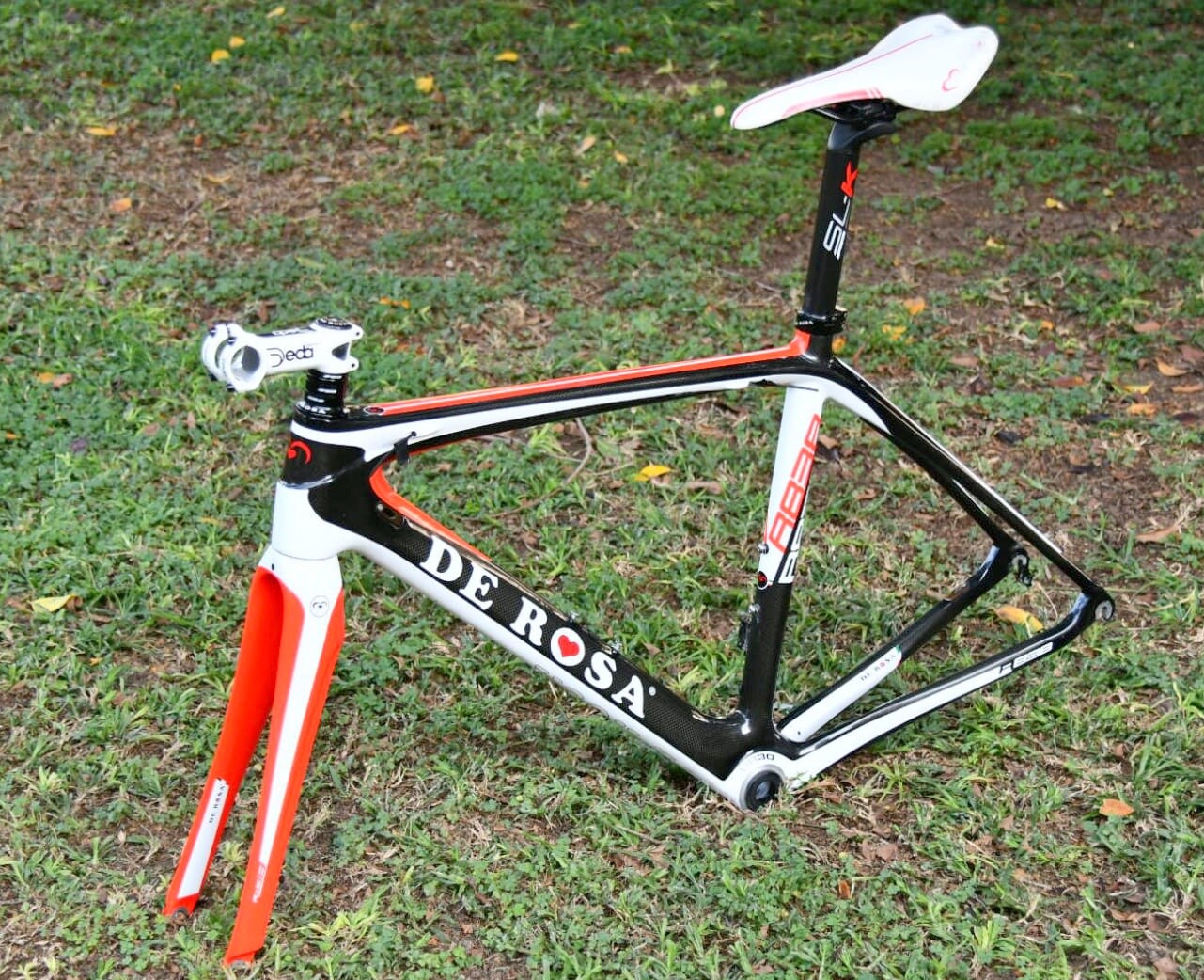 de rosa 838