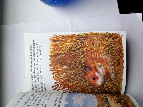 Choice of Ladybird Children's Books - Tales, Key Words, Disney, Learning to Read - Picture 70 of 108