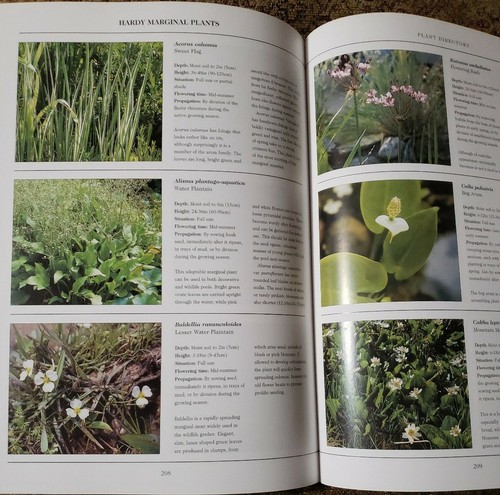 The Master Book of the Water Garden by Philip Swindells-Out of Print Book - Picture 7 of 7
