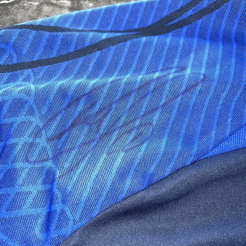 CHRISTIAN PULISIC HAND SIGNED USA JERSEY MENS SOCCER AUTOGRAPH Nike Volkswagen - Picture 5 of 5