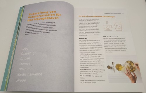 10 KRÄUTER GEGEN 100 KRANKHEITEN | FRANZISKA RUBIN | Gesundheit - Rezepte - Buch - Bild 3 von 7