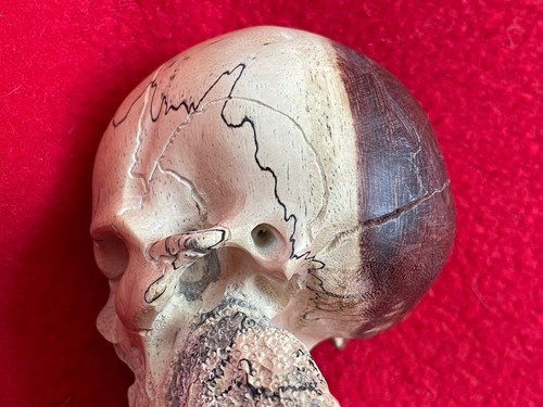 Magnífico chamán pulpo con cabeza de cráneo tallado de otro mundo tallado de Bali - Imagen 21 de 23