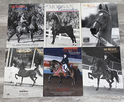 Lot Of 6 Vtg 90s Issues The Morgan Connection Horse Journal Breed Magazine 97/98