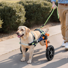 Dog Wheelchair for Back Legs - Lightweight Adjustable 2-Wheel Pet Cart with Shoc