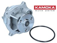 Kamoka T0129 Wasserpumpe Wapu FüR Ford