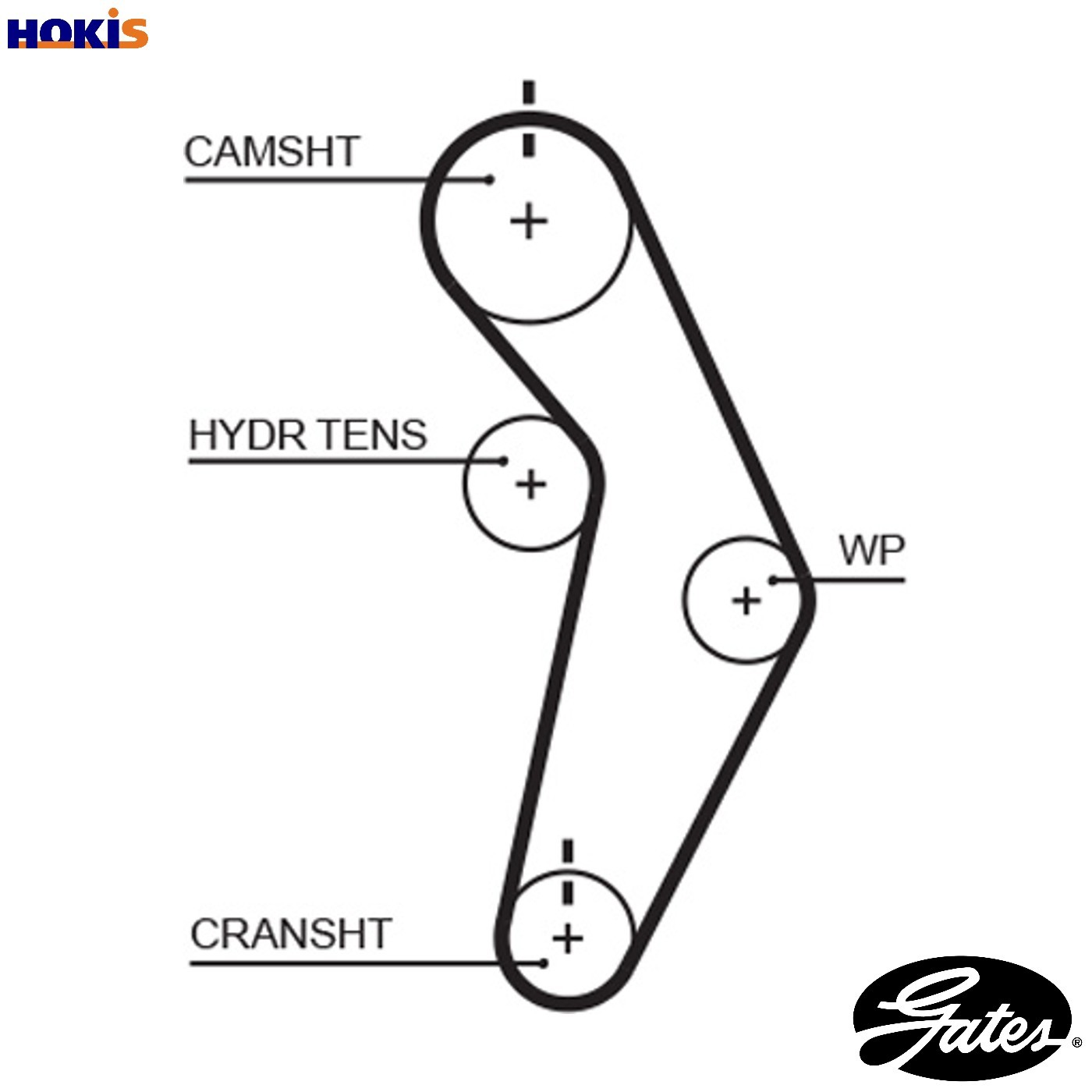 Timing belt T245 GATES for CHRYSLER DODGE PLYMOUTH - Image 8